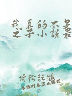 我真的不是气运之子小说最新章节