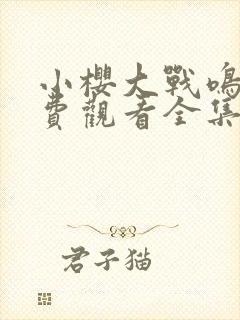 小樱大战鸣人免费观看全集动漫在线