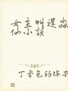 女主叫迟淼的修仙小说