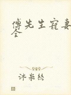 傅先生宠妻无度全