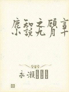 鹿知之顾言州的小说九月千金