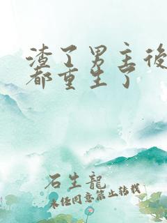 渣了男主后我们都重生了