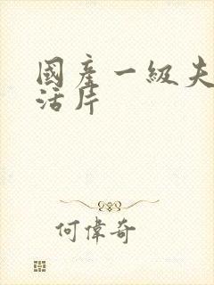 国产一级夫妻生活片