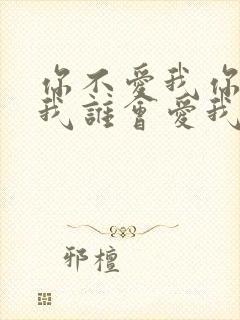 你不爱我你不爱我谁会爱我这是什么歌