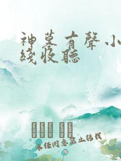 神墓有声小说在线收听