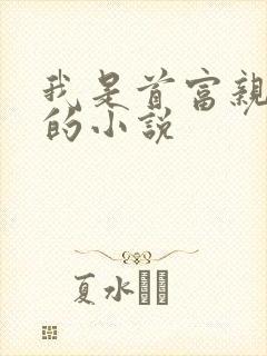 我是首富亲姑姑的小说