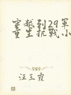 穿越到29军的重生抗战小说