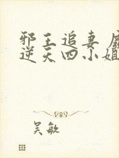 邪王追妻 废材逆天四小姐