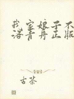 我家娘子不对劲洛青舟正版免费阅读