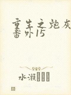 重生之炮灰男配番外15