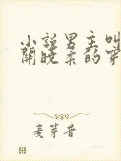 小说男主叫金峰关晓柔的穿越小说