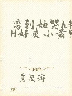 脔到她哭h粗话H好爽小黄鸭视频