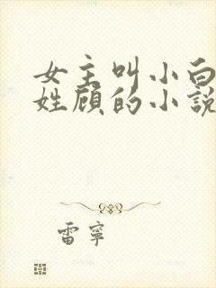女主叫小白男主姓顾的小说