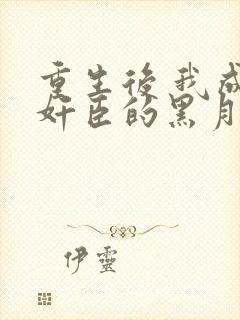 重生后 我成了奸臣的黑月光