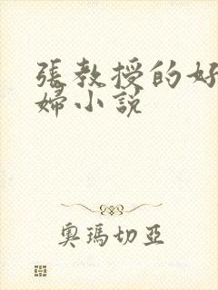 张教授的好儿媳妇小说