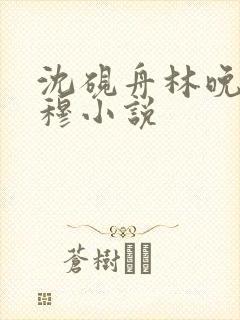 沈砚舟林晚星陈穆小说