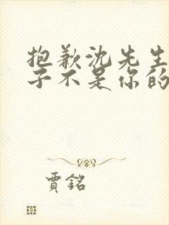 抱歉沈先生,孩子不是你的短剧合集