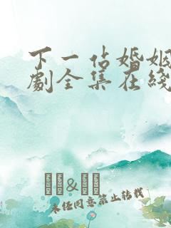 下一站婚姻电视剧全集在线免费观看