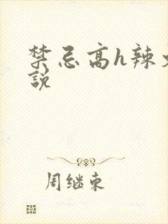 禁忌高h辣文小说