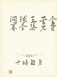 网球王子全国大赛全集免费观看