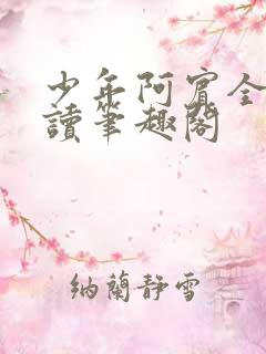 少年阿宾全文阅读笔趣阁