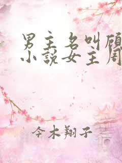 男主名叫顾衍的小说女主周