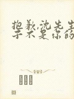 抱歉,沈先生孩子不是你的短剧