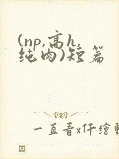 (np,高h,纯肉)短篇