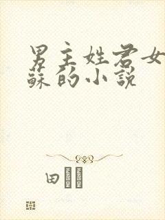 男主姓君女主姓苏的小说