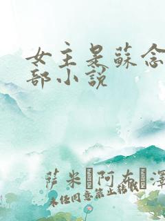 女主是苏念的全部小说