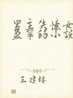 男主失忆女主沈盈宁的小说