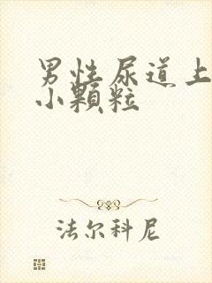 男性尿道上长了小颗粒