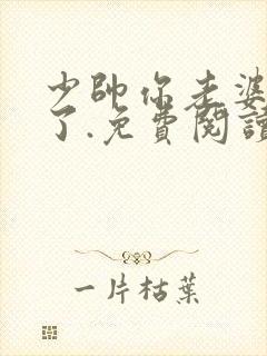 少帅你老婆又跑了.免费阅读