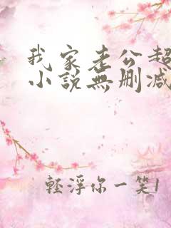 我家老公超宠哒小说无删减