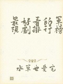 最好看的军旅电视剧排行榜前十名