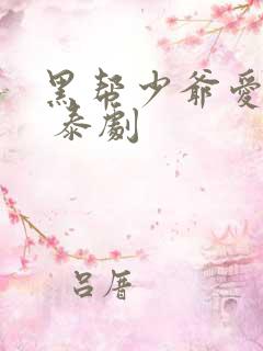 黑帮少爷爱上我 泰剧