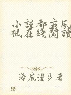 小说都市风情王枫在线阅读