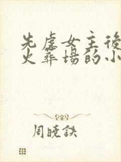 先虐女主后追妻火葬场的小说古言