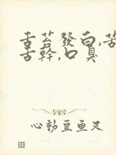 舌苔发白,苦,舌干,口臭