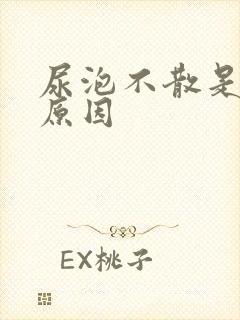 尿泡不散是什么原因