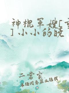 神棍军嫂[重生] 小小的晓