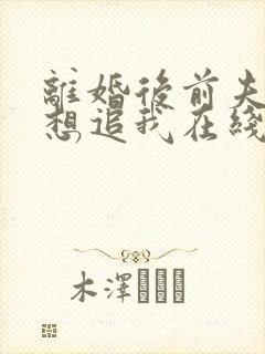 离婚后前夫总是想追我在线阅读全文免费