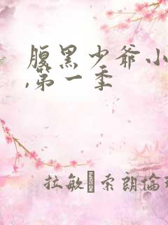 腹黑少爷小甜妻,第一季