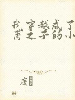 我穿越成了李公甫之子的小说