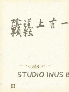 阴道上有一层小颗粒