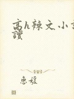 高h辣文小说阅读