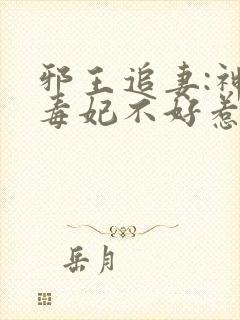 邪王追妻:神医毒妃不好惹