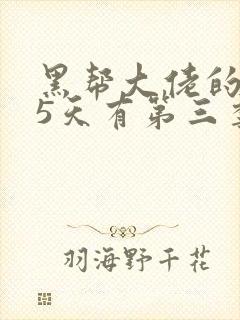 黑帮大佬的365天有第三季