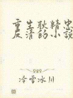 重生耿精忠之子反清的小说