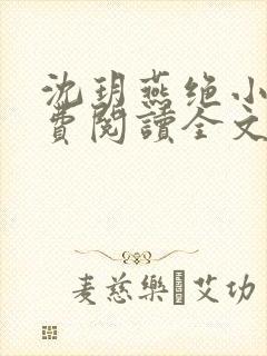 沈玥燕绝小说免费阅读全文最新章节